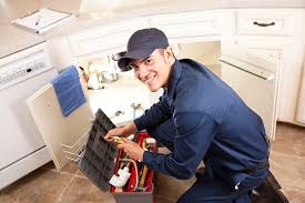 Best Toilet Repair and Installation  in Allen Park, MI